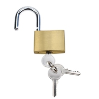 Cadenas miniature robuste en métal de haute qualité, classé IP66, avec 3 clés