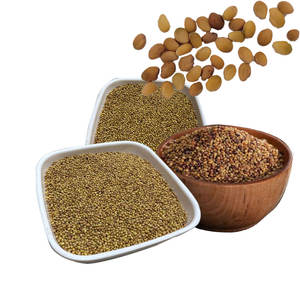 Berseูโคลเวอร์ | เหมาะสำหรับการเพาะปลูกในฤดูหนาว - Product Image 2