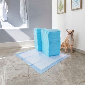 Échantillon gratuit du fabricant Dellion : Tapis d'apprentissage jetables super absorbants en tissu uni pour chiens et chats - Product Image 3