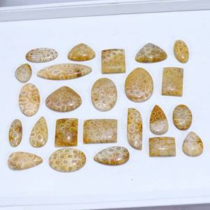 ปะการังฟอสซิลธรรมชาติ100% อัญมณีหลวมรูปร่างผสมและขนาดฟอสซิลปะการัง Cabochon อัญมณีหลวมสำหรับใช้ทำเครื่องประดับ - Product Image 5