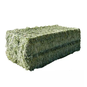 Foin d'alfalfa frais de qualité supérieure en gros - Product Image 1