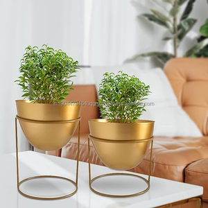 Prix de gros du lot de 2 jardinières du fabricant indien - Product Image 4