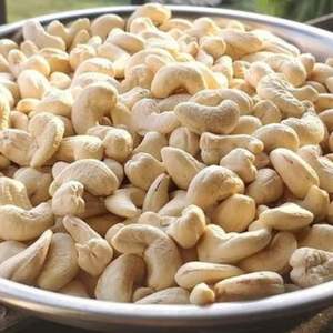 Noix de cajou du VIETNAM WW320 WW240 LP WS, prix le plus bas, noix de cajou brute, origine du Vietnam, qualité séchée, nouvelle saison - Product Image 4