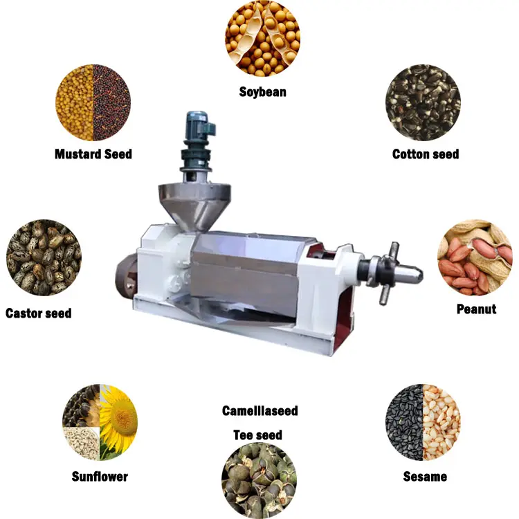 Sonnenblumenöl-Druck maschine Öl schrauben presse Kokosöl maschine