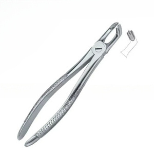 Forceps d'extraction de dents dentaires avec logo personnalisé d'excellente qualité Fig79 Instruments dentaires en acier inoxydable - Product Image 6