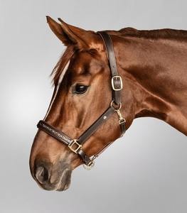 Halter en cuir marron avec chaîne en cristal Hot Selling Premium Quality Leather Halter Crystal avec rembourrage doux à un prix abordable - Product Image 3