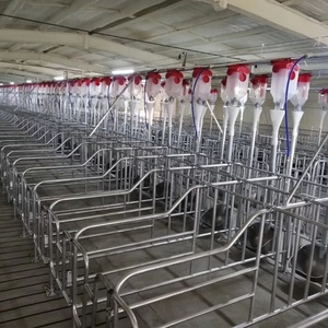 อุปกรณ์สำหรับเลี้ยงสุกรอัตโนมัติแบบครบวงจรสำหรับสุกร - Product Image 2