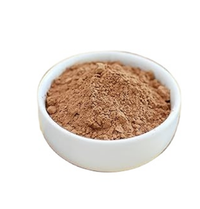 Polvo de cacao alcalinizado holandés natural de grasa Premium 10-12% para ingredientes de panadería - Product Image 4