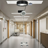 Équipement hospitalier, lampe chirurgicale LED verticale, lampe chirurgicale vétérinaire, lampes de bloc opératoire portables et mobiles