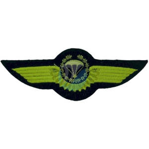 Venta directa de fábrica Insignias de ala Hechas en Pakistán Insignias de ala de peso ligero para la venta - Product Image 2