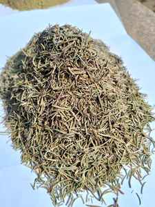 Huile essentielle de romarin sauvage extrait de plantes emballé dans des bouteilles canettes tambours directement de l'Inde - Product Image 2