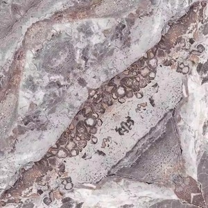 40x40cm Carreaux de sol en céramique aspect marbre pour chambre à coucher Digital Matte Glow 400x400mm Carreaux de porcelaine grise pour la maison et l'intérieur - Product Image 6