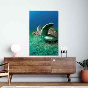 Arte de Pared de Tortuga en Vidrio Templado: Impresión Moderna de Animal en Lienzo, Lienzo Enrollado - Product Image 1