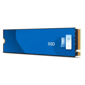 Beste Leistung 1TB M.2 NVMe SSD | PCIe WDS100T4B0E Internes Solid State Drive - Product Image 2