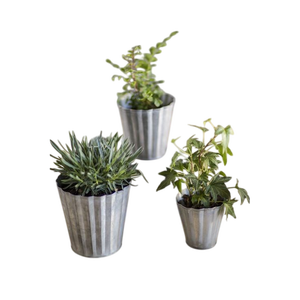 Jarrones de flores de metal galvanizado vintage modernos hechos a mano Decoración de mesa de calidad para adultos con tira de cobre color negro aspecto real - Product Image 3