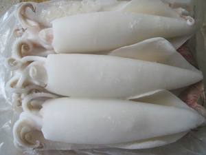 Calmar Loligo de bonne qualité, fournisseur de calmar Loligo frais au Vietnam, produit de fruits de mer, calmar Loligo pour les vacances - Product Image 5