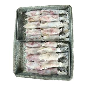 Calamar entier congelé (calamari) IQF/BQF, pêché en mer, emballé sous vide, qualité d'exportation d'usine du Vietnam, fruits de mer frais pour la vente en gros - Product Image 1