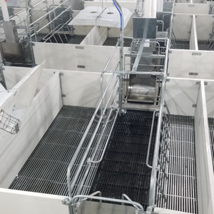 Caisse de mise bas pour porcs en acier inoxydable de haute qualité du fabricant vietnamien de cages pour animaux - Product Image 3