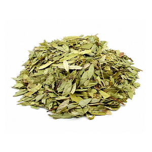 top selling single spices senna leaves ( prime 2 quality )