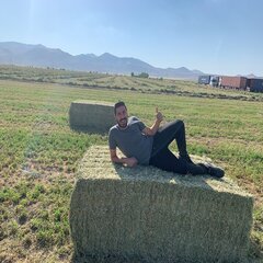 Alfalfa Hay Animal Feeding <b>Stuff</b> Timothy Hay /alfalfa hay pellets Timothy Hay/ Alfalfa in Bales Best Super Top Quality For Sale - Product Image 6