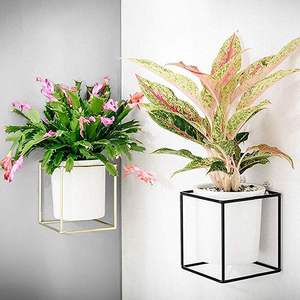 Jardinière murale en fer de luxe pour la décoration intérieure design, améliorant l'intérieur avec une jardinière en métal artistique - Product Image 6