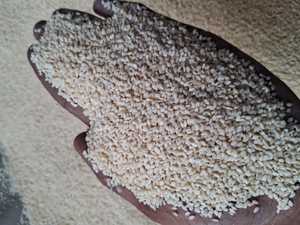 NEW Crop 2025 Hulled White sesame <b>seeds</b> Best Quality 100% Organic Unhulled (Natural) Sesame <b>Seeds</b> Trustworthy Supplier - Product Image 4