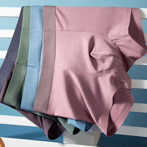 Vente flash : Sous-vêtements pour hommes en coton extensible sans couture, boxers décontractés, shorts, livraison DDP - Product Image 3