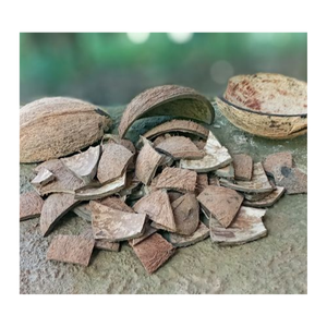 CASCA DE COCO CRUDO SECA ORIGINAL QUE FABRICA CARBÓN CALIENTE EXPORTACIÓN 2024 - Product Image 2