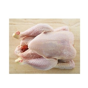 Compre pollo entero congelado Halal de primera calidad / pollo entero congelado en venta - Product Image 2