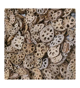 Racine de lotus séchée, exportation en vrac de racine de lotus séchée, approvisionnement en usine assurant une qualité uniforme et fiable - Product Image 4