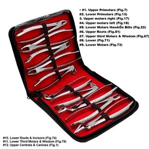 Juego de Fórceps para Extracciones Dentales, 12 Piezas, Acero Inoxidable, Agarre Ergonómico Manual con Estuche de Transporte - Product Image 2