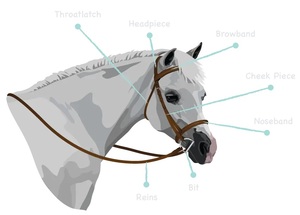 Brida para Caballo Rub International, de Cuero Rojo, con Bocado Cómodo, Flexible, de Alta Calidad, Personalizable, Modelo 7860B - Product Image 6