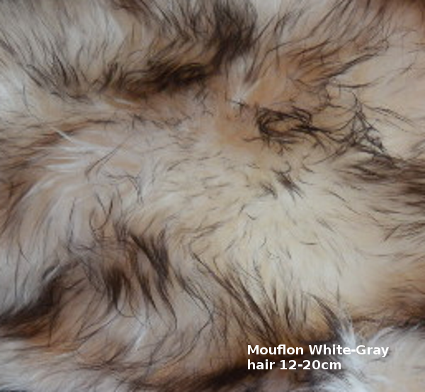 สีขาว/สีเทา