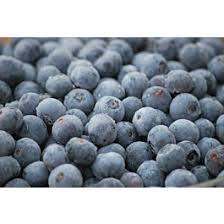 Myrtilles surgelées de qualité supérieure, entières, riches en antioxydants, fruits conservés, nourrissants, superaliments sains, idéaux pour l'exportation, de haute qualité - Product Image 5