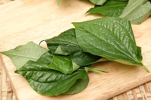 Exportación de gran cantidad de hojas secas de Piper lolot - Product Image 5