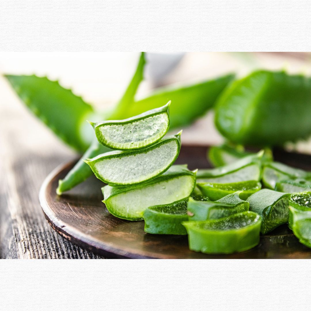 aloe vera for hair care Aloe Vera Essential Hair Care Set