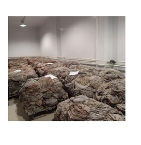 Premium Quality Dry Salted Beef <b>Omasum</b> for <b>Export</b> | Dried Frozen & Fresh <b>Omasum</b> | High Protein Beef Tripe Supplier - Product Image 3