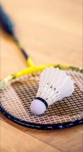 Volant Pluma X design logo personnalisé professionnel - Product Image 4