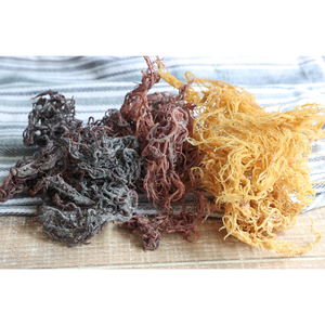 Fabricante de musgo marino seco de alta calidad de Vietnam // Sra. Jennie - Product Image 3