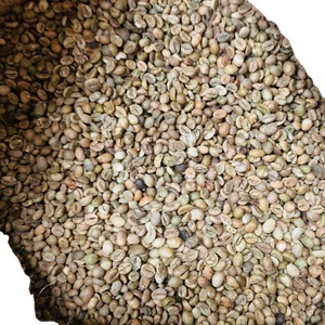 Café Vert Robusta PHALCO de Haute Qualité Grade 1 Tamis 16/18 Vietnam Meilleur Prix Prêt à l'Exportation en Sac de Jute - Product Image 2