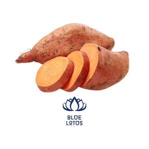 PATATE DOUCE DE HAUTE QUALITÉ DU VIETNAM - Product Image 6