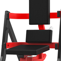 Appareil Commercial de Musculation Abdominale RS-1037 pour Isolation des Abdos et Entraînement de Base en Salle de Sport