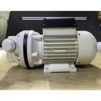 Pompes à diaphragme auto-amorçantes sans balais à aimant permanent en acrylique 110V 220V AC 40-50 lpm pour l'industrie et la métallurgie