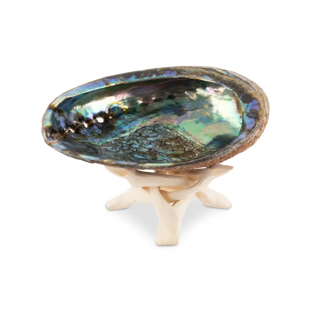Abalone Shell With Wooden Stand Incense Holder and Sage Smudge Bowl for Cleansing at Wholesale Price