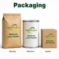Poudre de jus de betterave (nitrate) Poudre de betterave rouge de qualité alimentaire Nitrate naturel Vente en gros en vrac Fournisseur d'usine