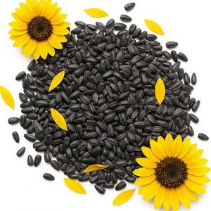 Semillas de Girasol Crudas de Primera Calidad al por Mayor, Blancas y Negras, Secas, de Alto Grado - Product Image 6