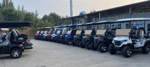 Voiture de golf à deux places à haute efficacité, système au lithium 48V |   Modèle électrique léger atteignant une vitesse maximale de 28 km/h - Product Image 5