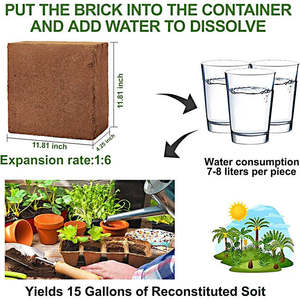 Mattone in fibra di cocco organico Premium 650g confezione da 8-equilibrio EC/pH basso per forniture da giardino - Product Image 2