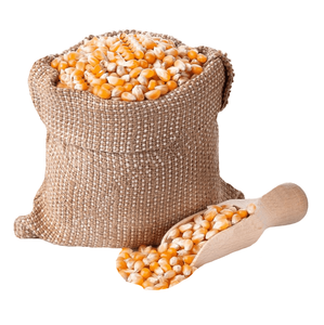 Vente entière en vrac de maïs blanc/jaune à vendre - Product Image 2