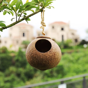 CASA NIDO DE PÁJARO DE CONCHA DE COCO NATURAL con ESCALERA y CUERDA de VIETNAM - Product Image 3